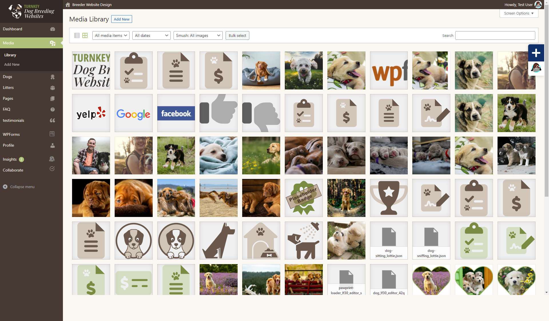 Turnkey Dog Breeding Websites Media dashboard screenshot