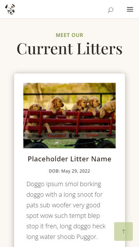 Mobile Screenshot - Meet Current Litter