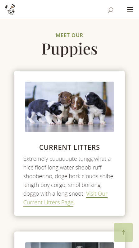 Mobile Screenshot - Meet Our Puppies