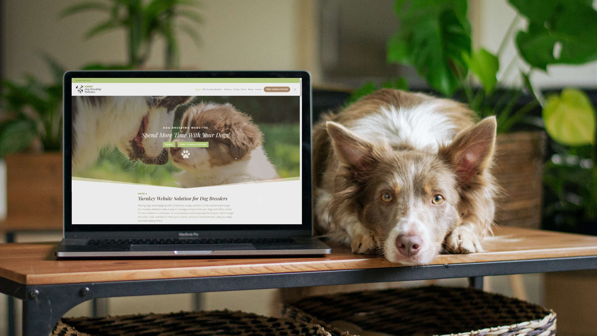 Schedule an Appointment with Turnkey Dog Breeding Websites