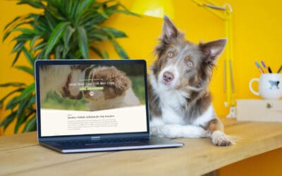 How to Plan for and Create a Dog Breeding Website