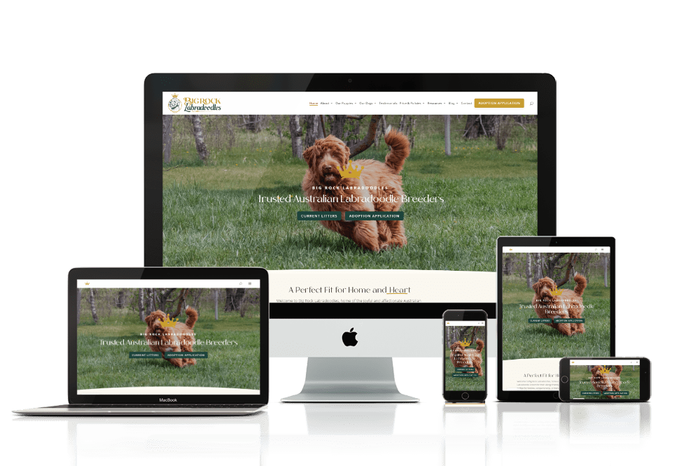 Big Rock Labradoodles home page mockup in multiple devices