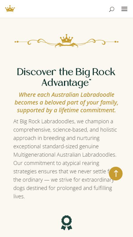 Big Rock Labradoodles mobile screenshot of the Big Rock Advantage section