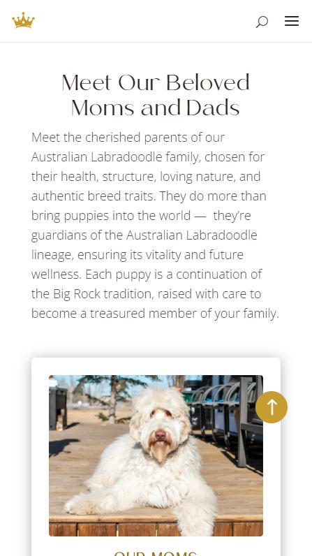 Big Rock Labradoodles mobile screenshot of moms and dads section