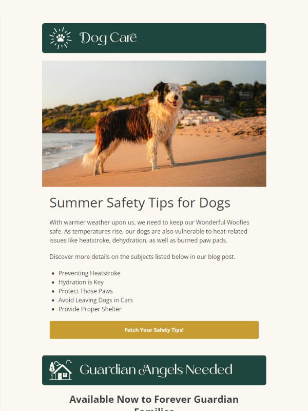 Big Rock Labradoodles - newsletter screenshot - Dog Care