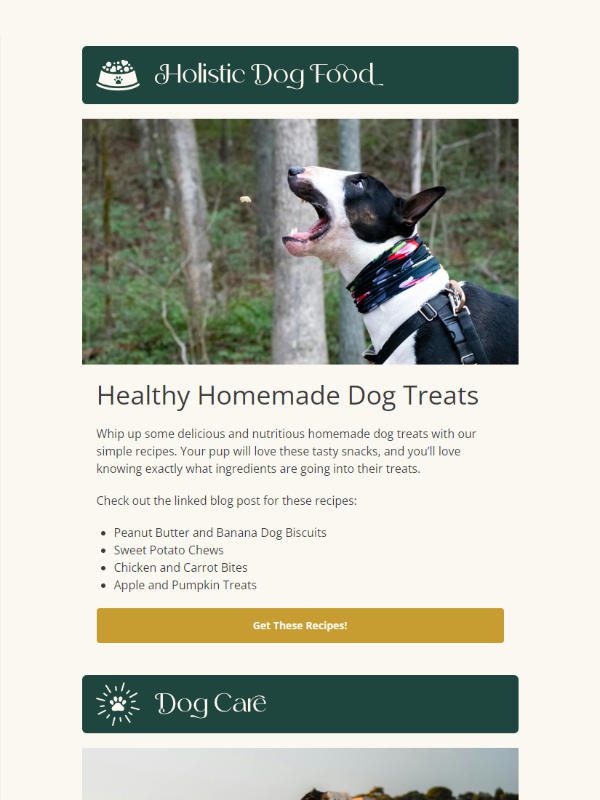 Big Rock Labradoodles - newsletter screenshot - Holistic Dog Food