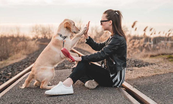 Dog sitting with his person doing a high five Sound Like the Expert You Are