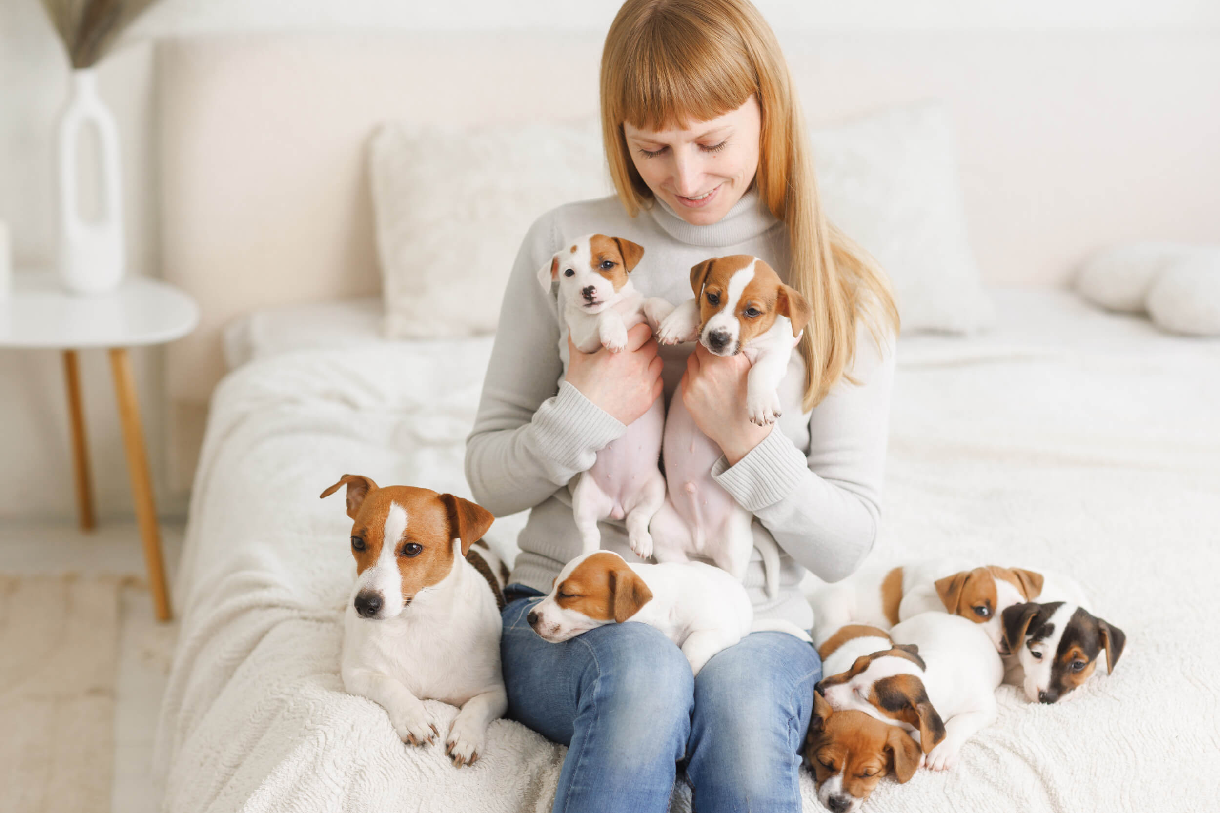 What Makes Our Process Different Dog breeder with her litter of Jack Russell Terrier puppies