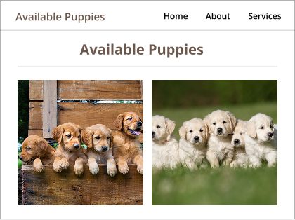 Available puppies screenshot of available puppies mockup