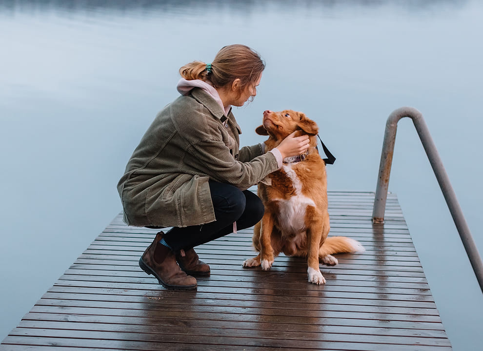 image 60 Breeder working with one of her dogs on a lake dock