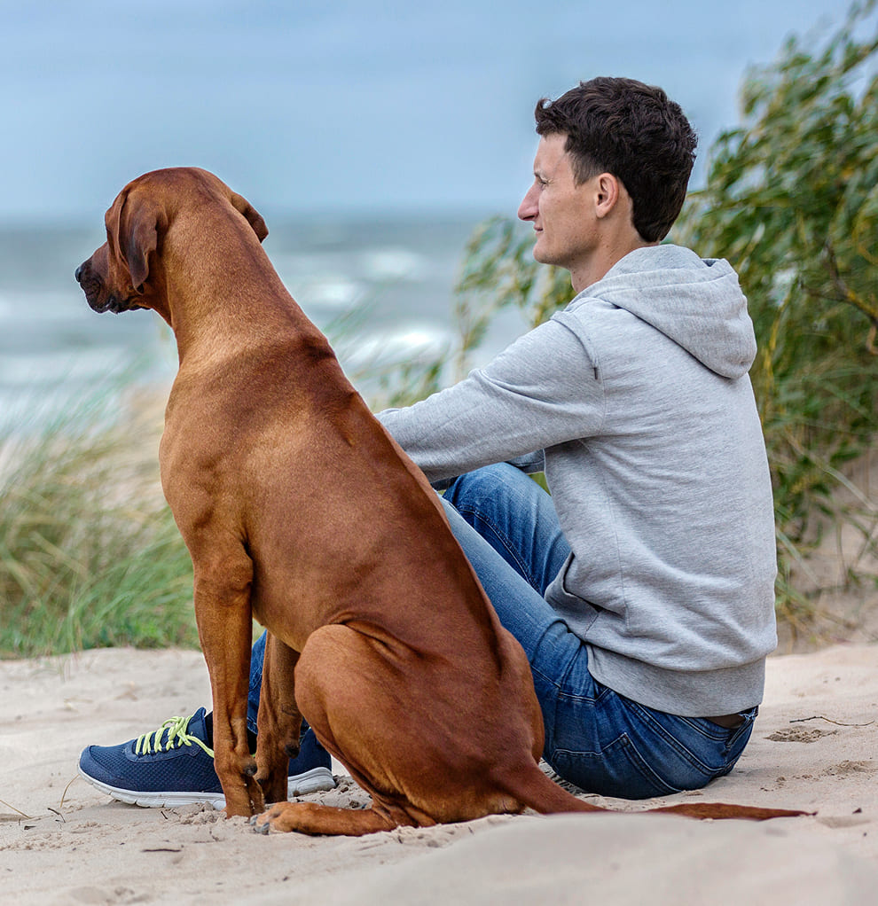 Why This Matters for Your Dog Breeding Business Breeder and one of his dogs at the beach